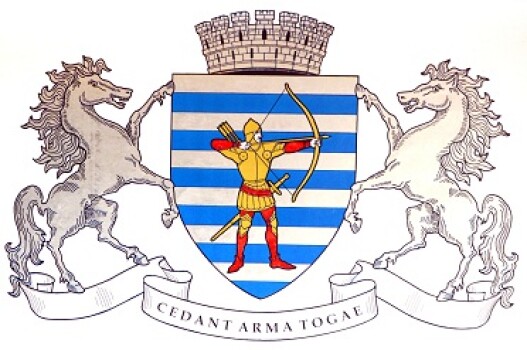 Organisation Logo