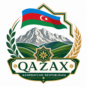 Organisation Logo