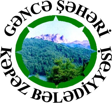 Organisation Logo